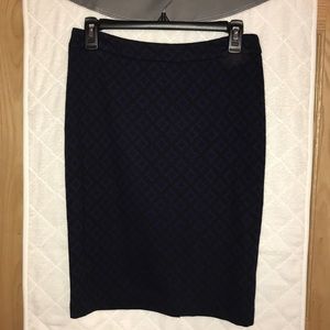 Navy and Black Skirt